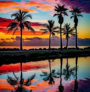 Meet your Posher, Karina